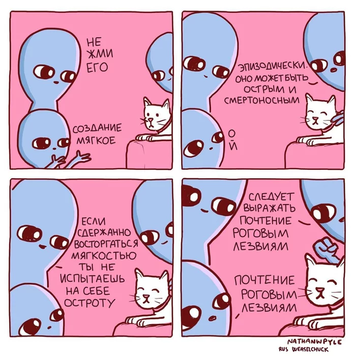 Strange Planet 55 - My, Comics, Aliens, Longpost, Strange humor, Nathan w Pyle, Translation, Translated by myself, strange planet, cat, Dog