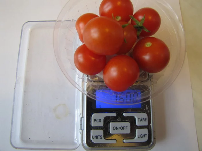 Wow, wow, wow, tomato heaven :D - My, Cherry tomatoes, Vegetable garden on the windowsill, Hydroponics, cat, Longpost