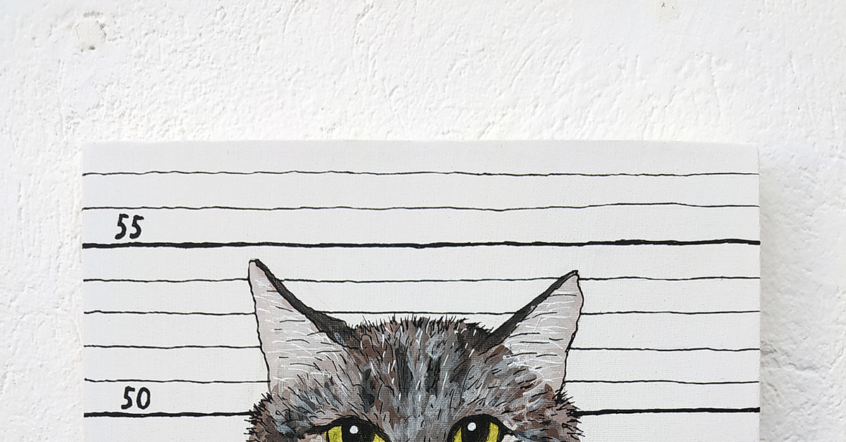 "Будил Наташу" | Пикабу