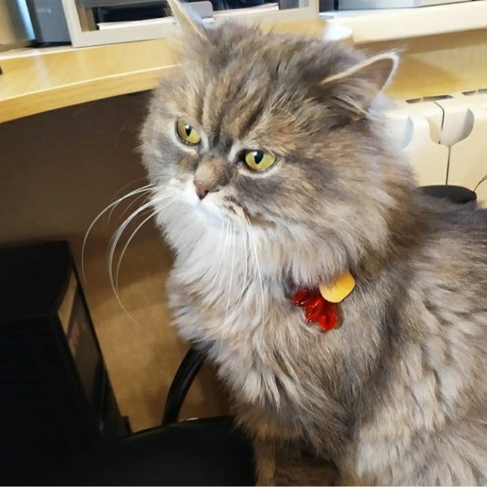 ������� ������ �� ������ � Word of Tanks