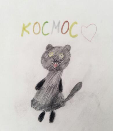 40+ children's drawings of a cat, a gift for a cat's birthday - My, Milota, Children's drawings, cat, Positive, Drawing, Scottish lop-eared, Video, Longpost