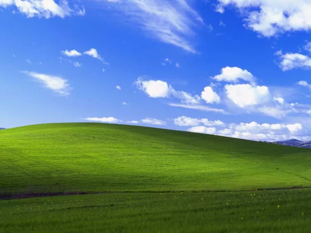 Хочу все знать #698. История одной фотографии: заставка Windows XP, январь 1996 года - Хочу все знать, Заставка, Windows XP, Microsoft, Фотография, Фотограф, История, Длиннопост