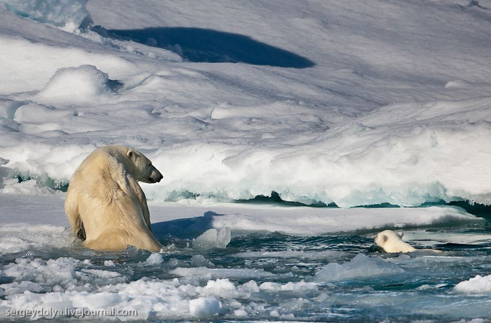 Под строгим присмотром мамы...