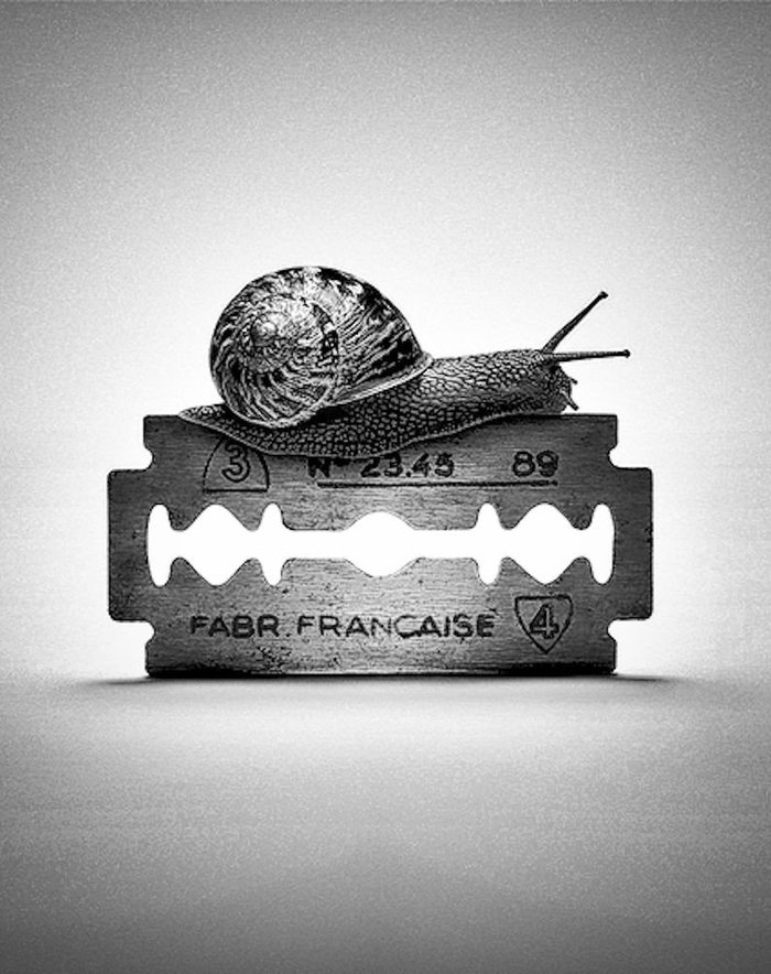 Улитка | Пикабу