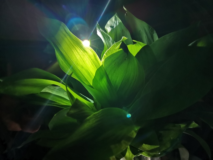 �� ��� �������� ��������