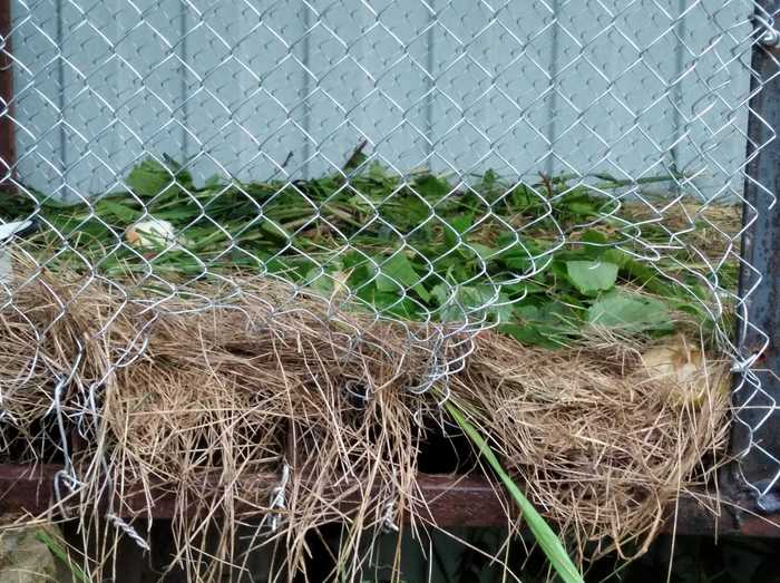 ��������� ����...