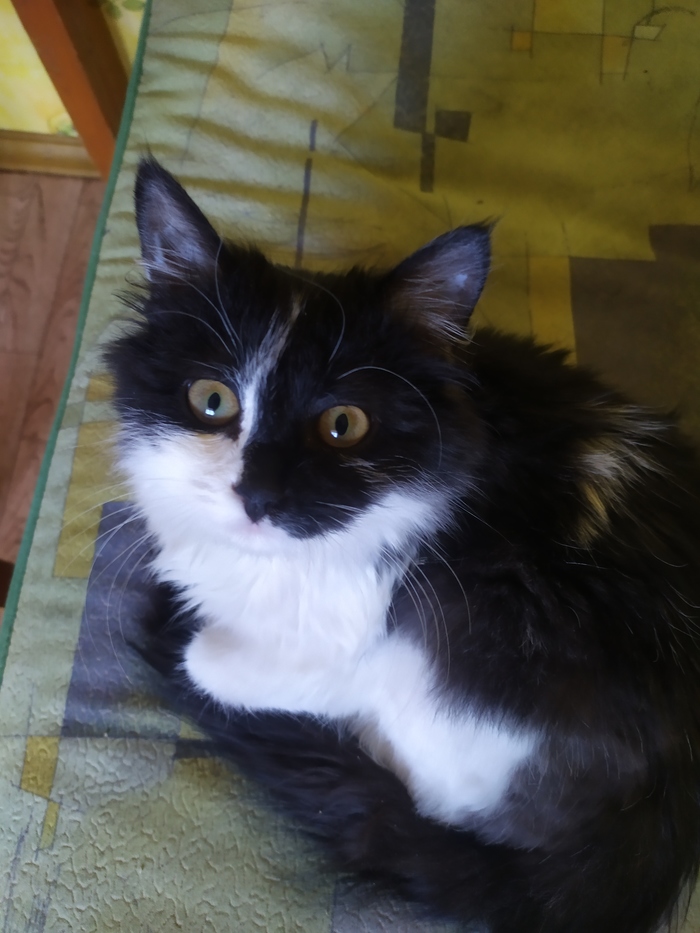 159143762815275810 Кто такой гудрон человек