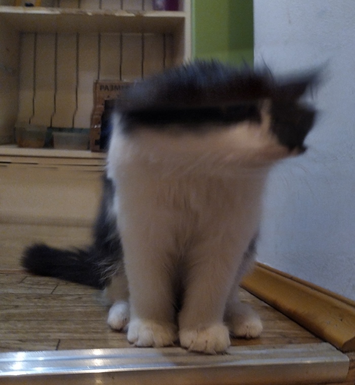 1591437664140159348 Кто такой гудрон человек