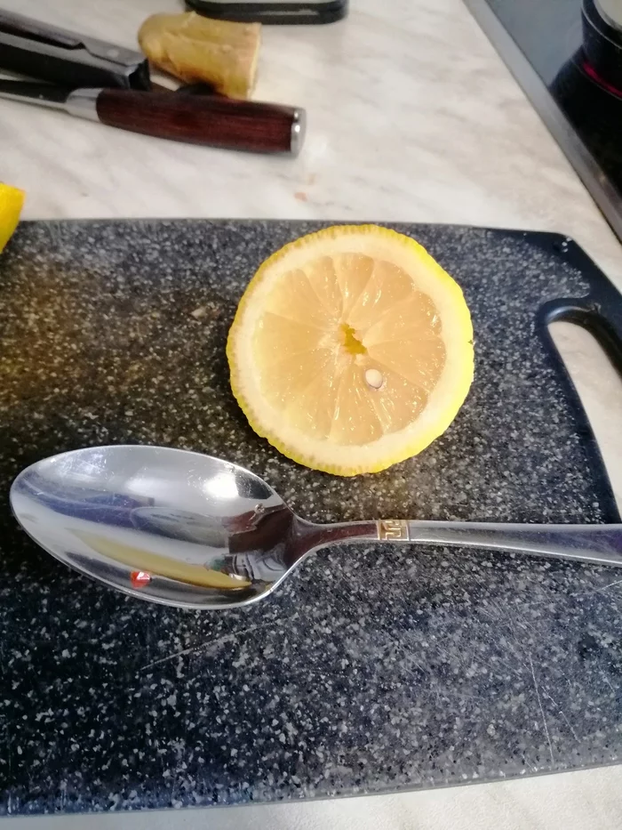 ������� �������� - �������� ���� ���� ����, ���������, ������, ����������