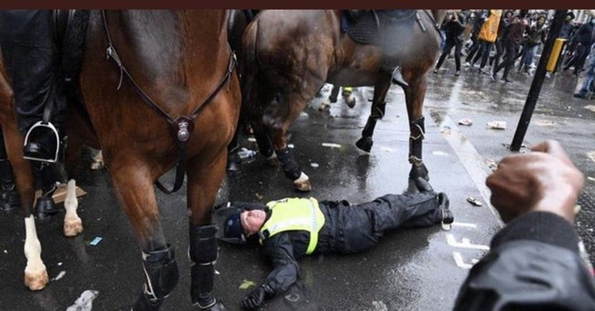 Убитые в лондоне. Конная полиция в Лондоне. Полицейская лошадь. Полицейский конь.