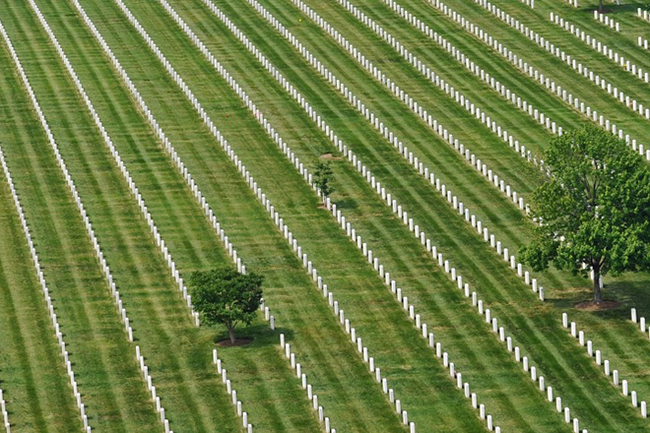 I want to know everything #703. The largest cemeteries in the world - Want to know everything, Cemetery, Territory, The size, Longpost