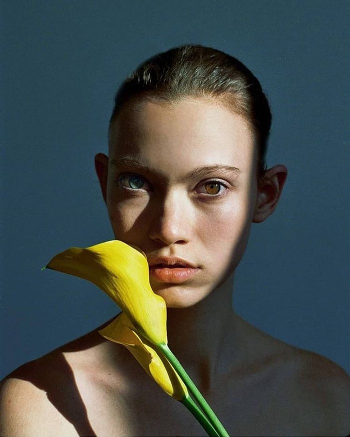 ������ ����