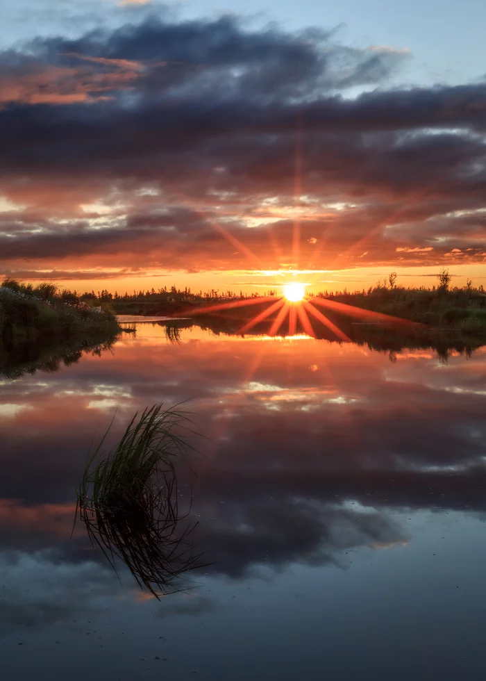 Sunset in the forest-tundra - My, Yamal, Tundra, Sunset, Landscape, Russia, New Urengoy