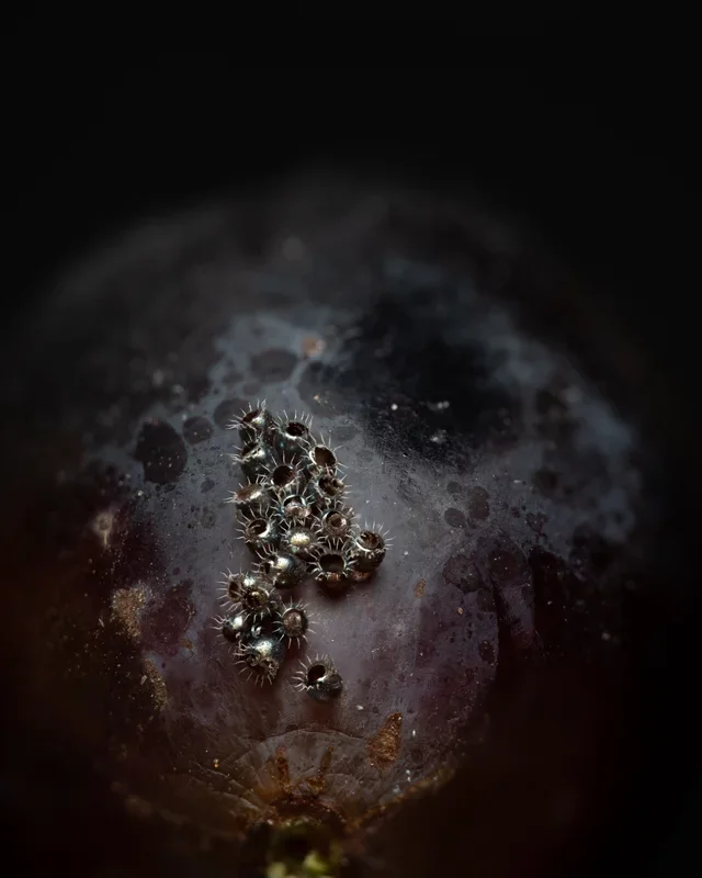 Что это за штука - 98 Перевел сам, Reddit, WhatIsThisThing, Видео, Длиннопост Что это за штука - 98 Перевел сам, Reddit, WhatIsThisThing, Видео, Длиннопост