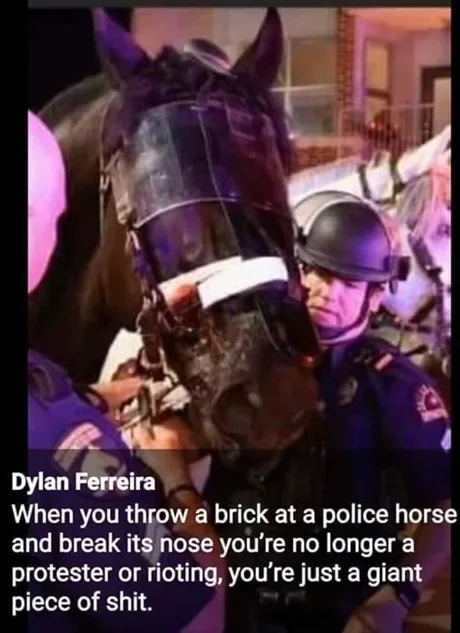 He is 100% right! - Horses, Mounted police, Bricks, Injury, Protest, Death of George Floyd, Picture with text, 9GAG