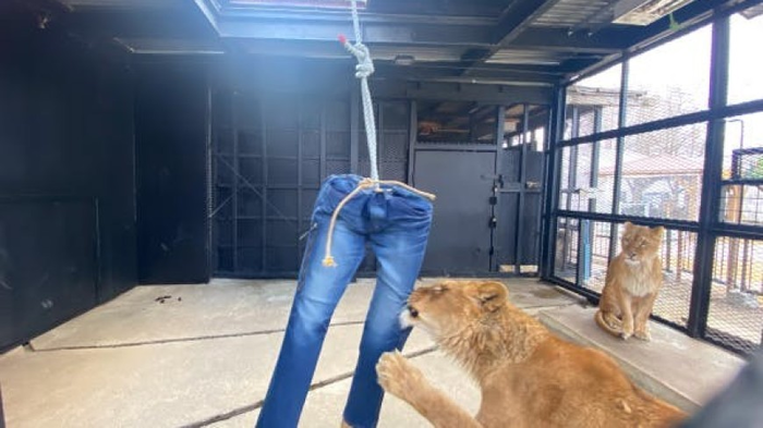 �������� ������� ���� ��������� ������, ������� ������� ����