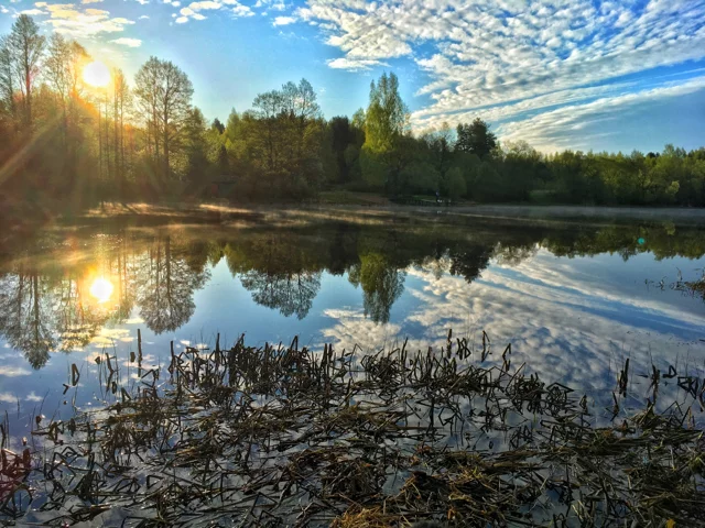 Morning, fishing, fog - My, Morning, Fishing, Fog, River, Volga river