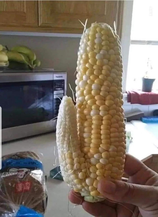 Edible-inedible - Vegetables, Corn