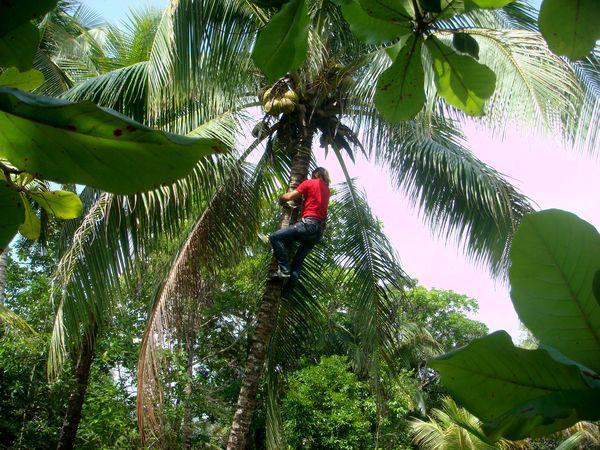 How we were Robinsons on a desert island. Is it possible to survive on a desert island in the Pacific Ocean? - My, Robinson, Yacht, Sail, Trip around the world, Books, Adventures, Hunting, Fishing, Longpost