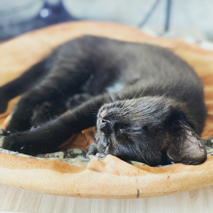 ���� ��� ������������ ��� ����������, � ����� ���� ������