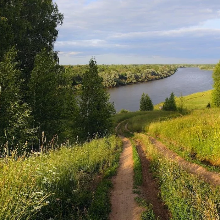 Going down to Klyazma - Russia, Klyazma, Nature, The photo, River, Forest, Road, The nature of Russia