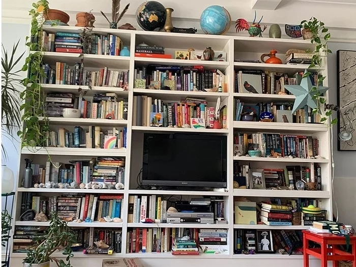 Find the cat hiding on the bookshelf - cat, Bookshelf