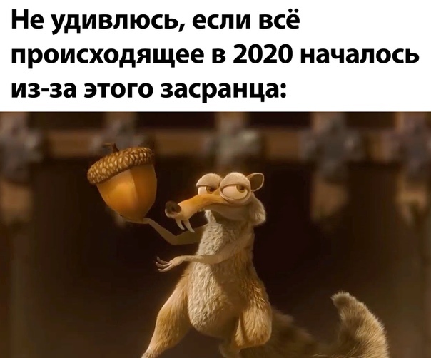 Белочка - Белка, 2020