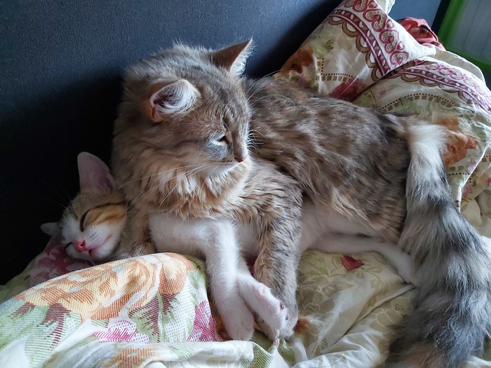    ! , , , -, , 