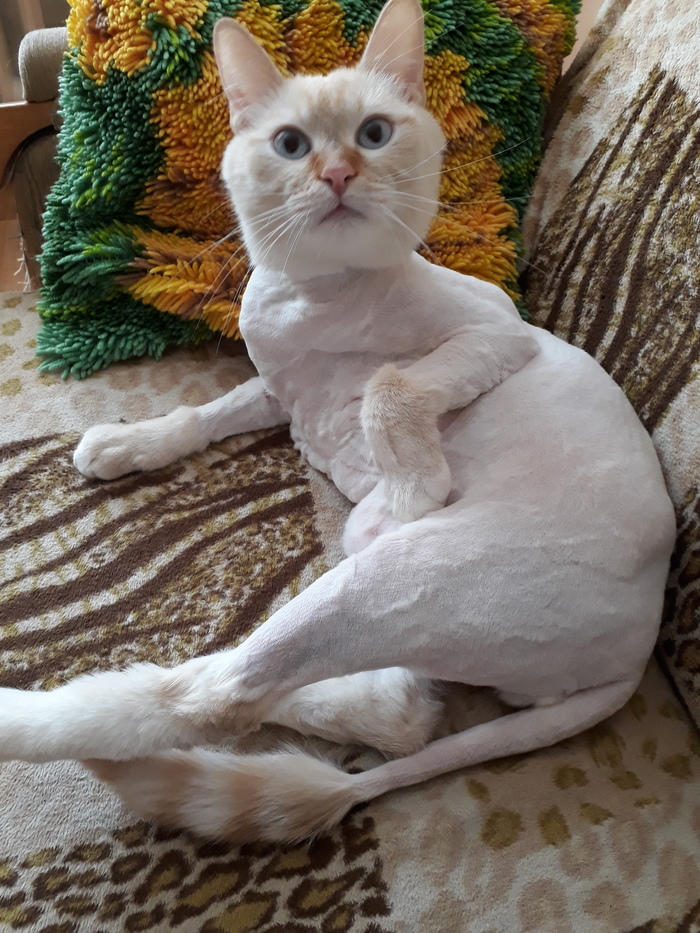  ,   , -, , 