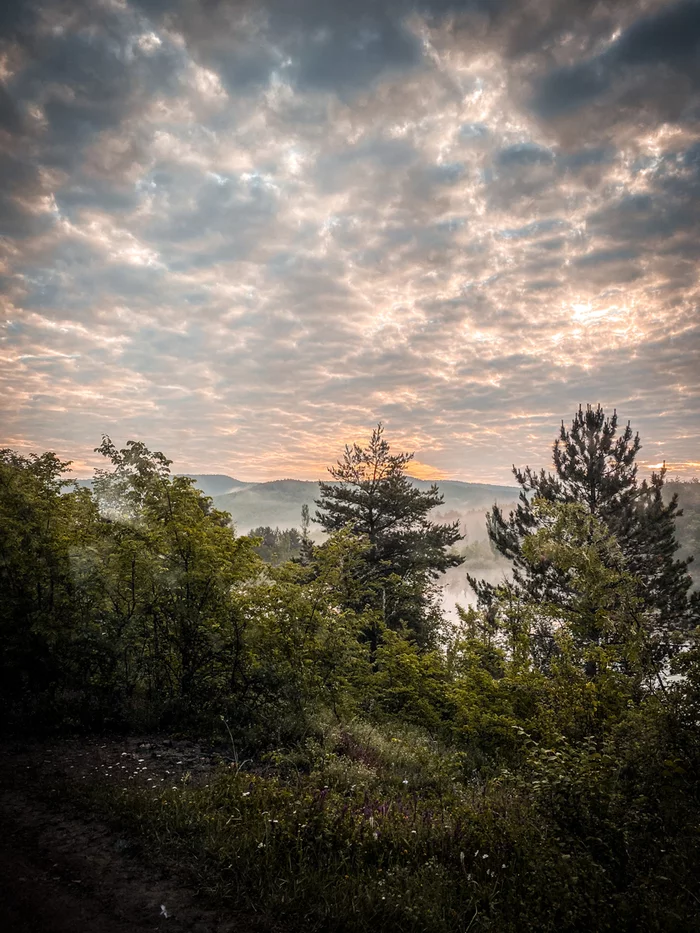 5:47. While everyone is still sleeping, you can listen to the forest - My, Forest, Lake, Crimea, Baydar Valley, Summer, Mobile photography, The photo, After the rain