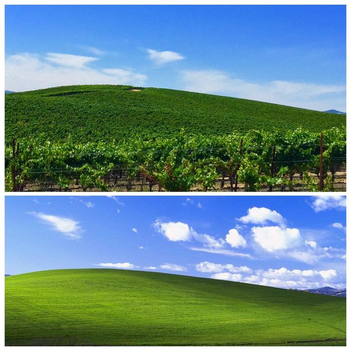 Field from standard Windows XP wallpaper. Then and now - Wallpaper, Time, Windows XP, Serenity