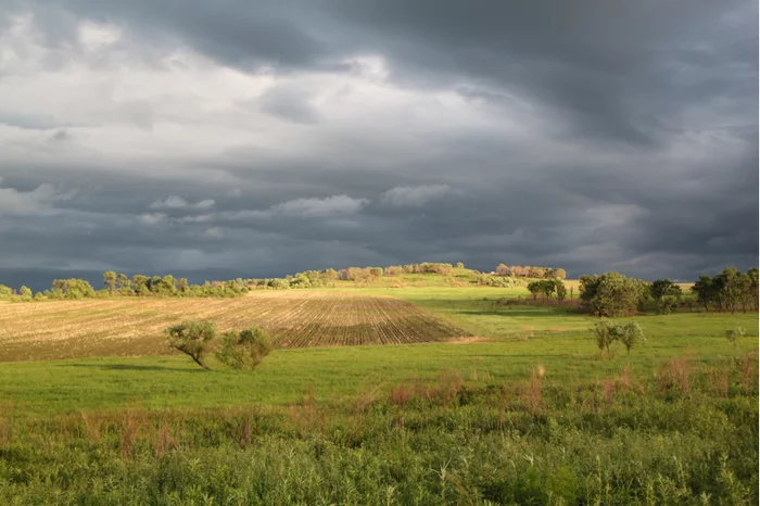 After the thunderstorm - My, Thunderstorm, After a thunderstorm