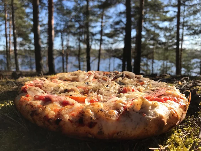 Pizza on a fire in the forest. Why not? - My, Pizza, Hike, Forest, Tent, Food, Longpost