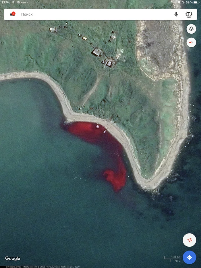 What is this? - My, Google maps, Cards, Pictures from space, Whale, Interesting, What's this?, Chukotka