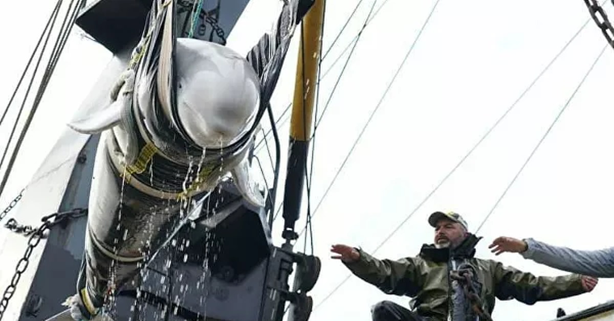 Обращение к людям