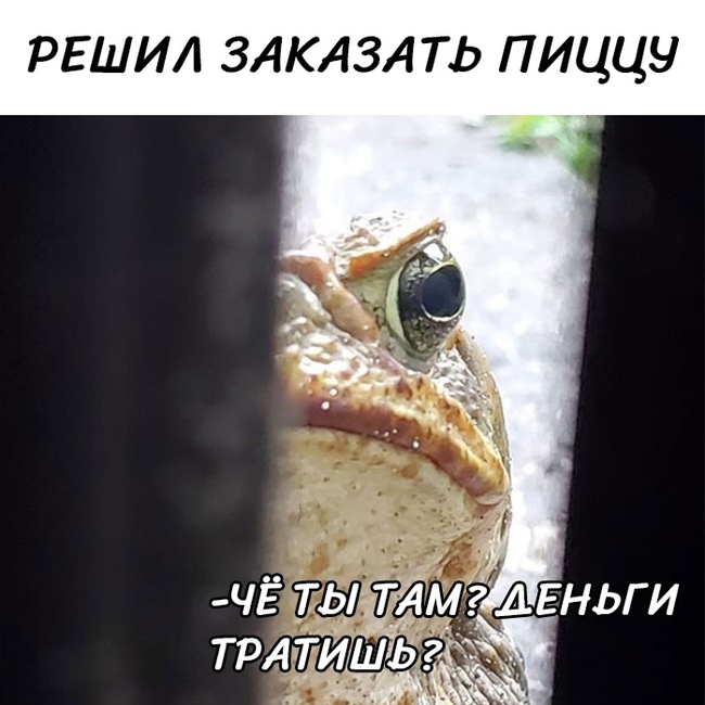 Тонкая шутка