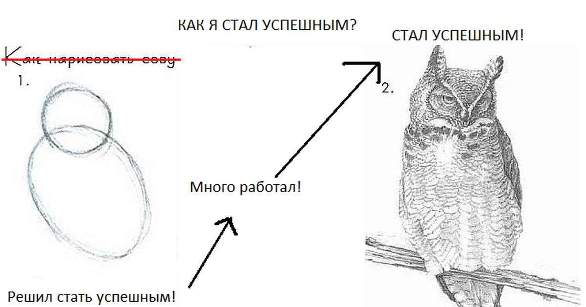 Рисуем сову прикол