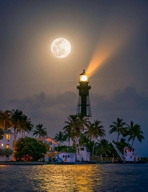 Very beautiful photo with the moon in the background - beauty, Beautiful, The photo, moon, Water, Evening, Palm trees