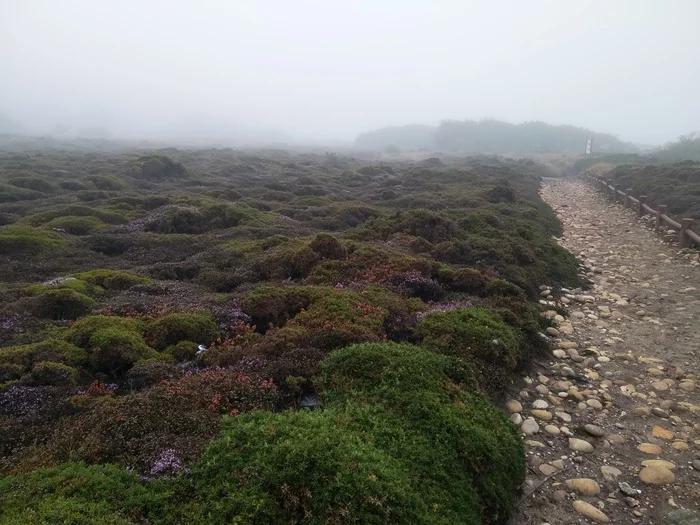 Camino de Santiago. Part four - crossing the border - My, Travels, Camino, Santiago's Way, El camino, Portugal, Spain, Longpost