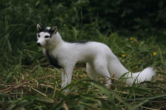 White fox - My, Needlework without process, Fox, Polymer clay, Art, Animals, With your own hands, Longpost