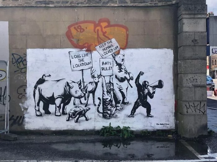 Another creation of the Scottish artist Rebel Bear - Scotland, Graffiti, Street art, Animals, Manifestation, Quarantine