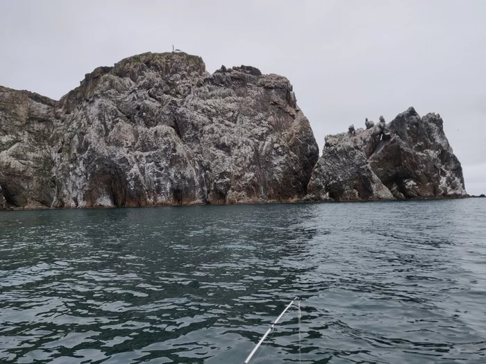 Когда зашёл в комменты на Пикабу:))) - Остров, Море, Путешествия, Рыбалка, Комментарии на Пикабу, Фекалии, Чайки