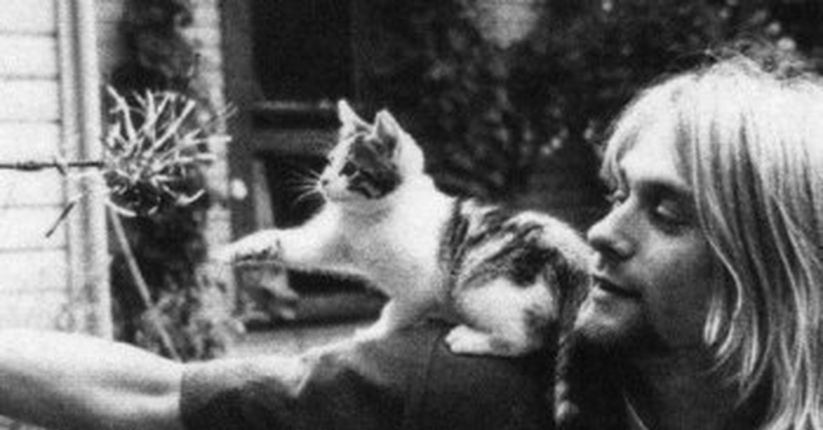 Курт кобейн с кошкой. Кот курта кобейна. Курт с котом. Курт кобейн люблю животных. Курт кобейн с котом.