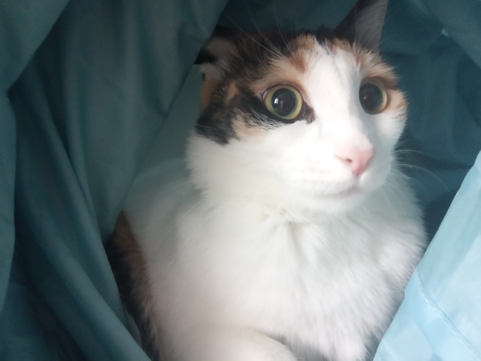     :3