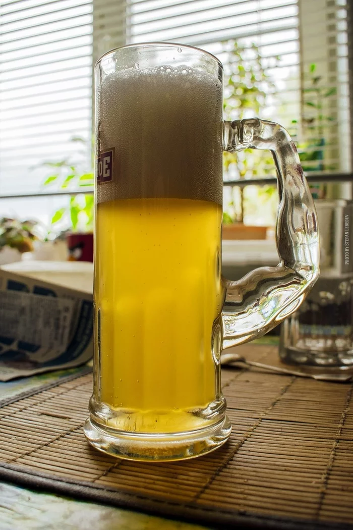 Homemade malt beer. Light - My, Cooking, Beer, Nerekhta, Homemade, Craft, Longpost