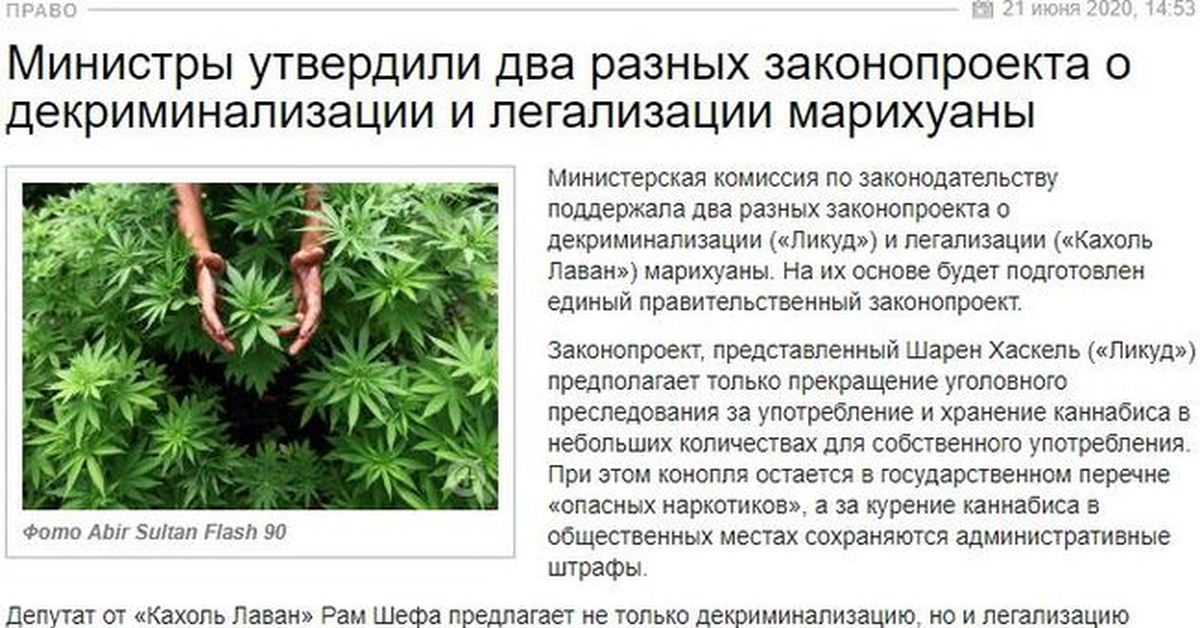 сколько дают за употребление травы в россии