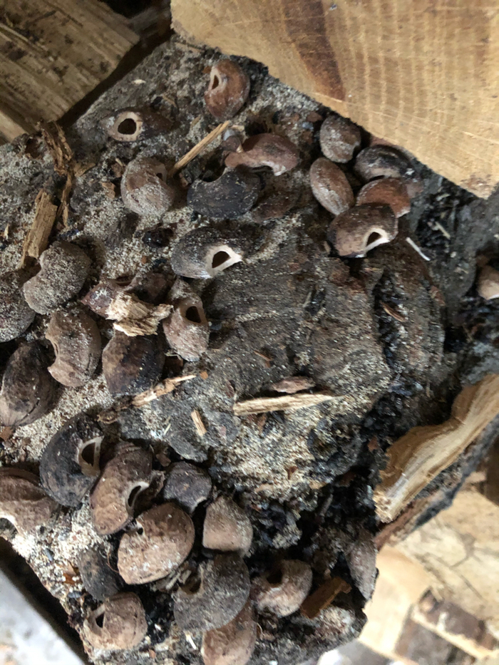 Непонятная штука