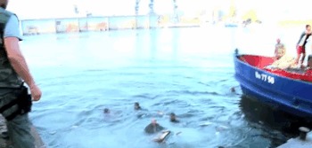 Актеры, которые чуть не погибли на съемочной площадке Фильмы, Съемки, Видео, Длиннопост, Гифка