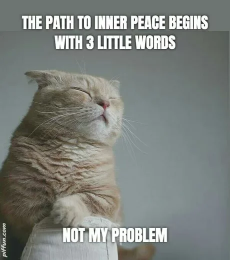 The path to inner peace begins with three little words - “not my problem”! - cat, Picture with text, Translated by myself, Appeasement, Inner world, Calmness, Problem, 9GAG