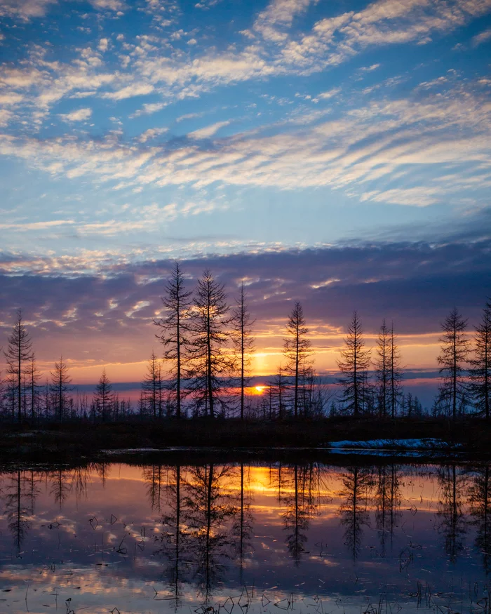 Spring evening - My, Yamal, Tundra, Russia, Landscape, Siberia, Sunset, The photo